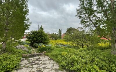 Nature as Civic Infrastructure